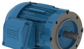 WEG Electric Motors 00112ET3E145TC-W22 - Motor, 1HP, 1200 RPM, 145TC (00112ET3E145TC-W22)