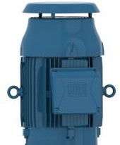 WEG Electric Motors 00118ET3E143HP-W22 - 1Hp 1800 3 60 208-230/460V (00118ET3E143HP-W22)