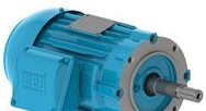 WEG Electric Motors 00118ET3E143JM-W22 - 1HP 1800 3 60 230/460, J2 (00118ET3E143JM-W22)