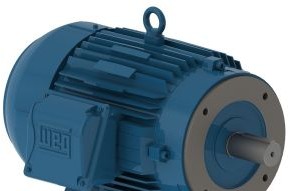 WEG Electric Motors 00536ET3E184TC-W22 - Motor (00536ET3E184TC-W22)