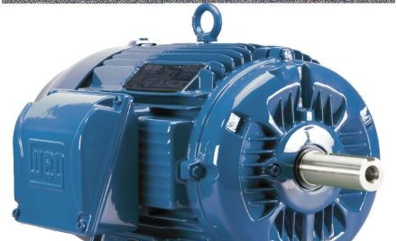 WEG Electric Motors 03018ET3E286T-W22 - Motor, 30HP, 1800RPM, 3PH, 230/460V 286T (03018ET3E286T-W22)