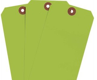 Brady Labels 102071 - Blank Write-On Tags, 6.25 H x 3.125 W, Cardstock (102071)