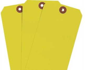 Brady Labels 102077 - Blank Write-On Tags, 5.25 H x 2.625 W, Cardstock (102077)