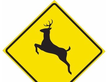 Brady Signs & Signage 115649 - Deer Crossing Picto Sign, 24 H x 24 W x 0.090 D (115649)