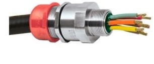 Appleton Cable Entries 20SPXREX0755X - Cable Gland, Type Straight, Thread Size 3/4 (20SPXREX0755X)