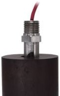 Gems Sensors & Controls Sensors 35682 - LS-1900 Series Level Switch (35682)