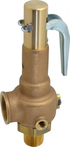 Apollo® 19KFEA150 Apollo® High Pressure Safety Relief Valve: 1" Inlet, 977 CFM, 150 (19KFEA150)