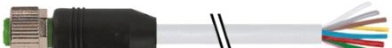 Murrelektronik Cordsets 7000-17041-2950500 - M12 Female 0_, Pur 8X0,25 Gray, Drag (7000-17041-2950500)