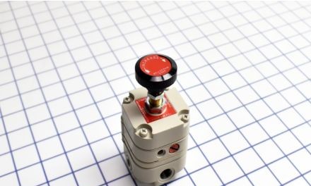 Bellofram Regulators 960-009-000 - Precision Regulator, 1/4in. Port Size (960-009-000)