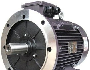 TECHTOP INDUSTRIES Motors BL3-AL-TF-56B35-4-B-D-.12 - IE1 Efficiency,3 PHASE (BL3-AL-TF-56B35-4-B-D-.12)