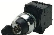 Sprecher + Schuh Switches D7M-KM2202RPX22 - SELSW 2POS MAIN KEY RIGHT 3802 (D7M-KM2202RPX22)