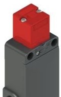 Pizzato Safety Switches FS2996D024 - Safety switch with solenoid and separate (FS 2996D024)