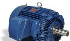 TECO Westinghouse Motors HB0752 - Motor, AC, 75 HP, 3600RPM, 365TS TEFC, 460V (HB0752)