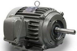 TECO Westinghouse Motors NP0204 - Motor, AC, 20 HP, 1800 RPM, 256T TEFC, 230/460V (NP0204)
