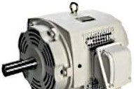 TECO Westinghouse Motors Q0206 - Motor,AC, 20HP, 1200RPM, 286T, ODP 230/460/796V (Q0206)