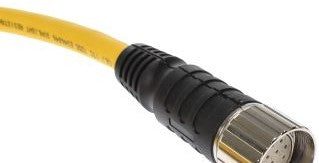 Turck Cordsets CKM12-11-1 - Cordset (U4702-5)