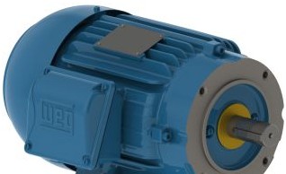 WEG Electric Motors 00118ST3QIE143TC-W22 - 1HP 1800 3 60 460V, J2 (00118ST3QIE143TC-W22)