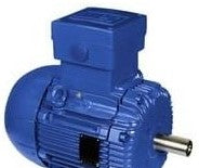 WEG Electric Motors 00136EP3WAL80 - Motor, 460Vac @ 60Hz (00136EP3WAL80)