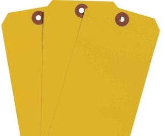 Brady Labels 102055 - Blank Write-On Tags, 6.25 H x 3.125 W, Cardstock (102055)