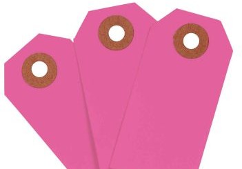 Brady Labels 102058 - Blank Write-On Tags, 3.75 H x 1.875 W, Cardstock (102058)