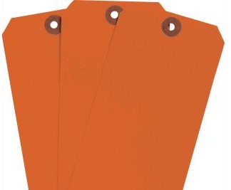 Brady Labels 102087 - Blank Write-On Tags, 6.25 H x 3.125 W, Cardstock (102087)