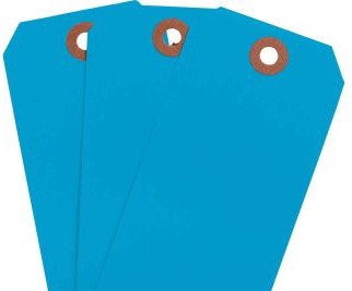 Brady Labels 102092 - Blank Write-On Tags, 4.75 H x 2.375 W, Cardstock (102092)