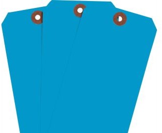 Brady Labels 102094 - Blank Write-On Tags, 5.75 H x 2.875 W, Cardstock (102094)