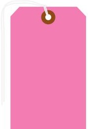 Brady Labels 102124 - Blank Write-On Tags, 4.75 H x 2.375 W, Cardstock (102124)