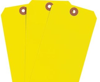 Brady Labels 102143 - Blank Write-On Tags, 6.25 H x 3.125 W, Cardstock (102143)