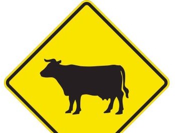 Brady Signs & Signage 115650 - Cattle Crossing Sign, 24 H x 24 W x 0.090 D (115650)