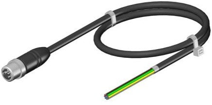 Euchner Miscellaneous 123442 - C-M12M05-05X034PV20, 0-MA (123442)