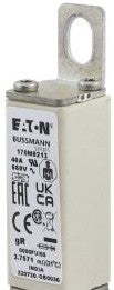 Bussmann Fuses 170M0213 - Fuse-link, high speed, 40 A, AC 660 V, size (170M0213)