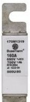 Bussmann Fuses 170M1319 - Fuse-link, high speed, 160 A, AC 690 V, DIN 000 (170M1319)