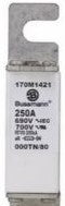 Bussmann Fuses 170M1421 - Fuse-link, high speed, 250 A, AC 690 V, DIN 000 (170M1421)