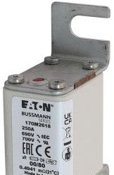 Bussmann Fuses 170M2618 - Fuse-link, high speed, 250 A, AC 690 V, DIN 00 (170M2618)