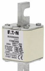Bussmann Fuses 170M3066 - Fuse-link, high speed, 250 A, AC 690 V, compact (170M3066)