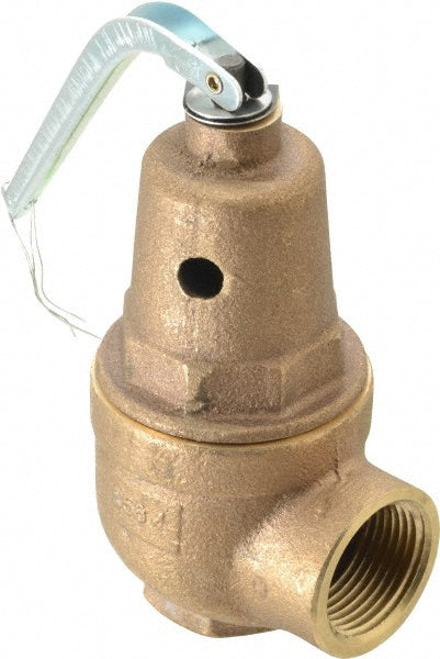 Apollo® 10-614-05 Apollo® ASME Section IV Safety Relief Valve: 3/4" Inlet, 30 Max psi (10-614-05)