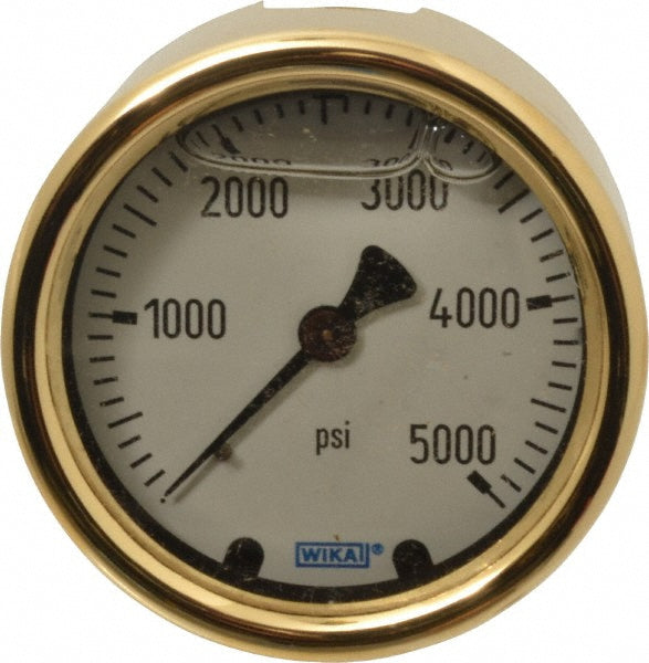 Wika 9318283 Wika Pressure Gauge: 2-1/2" Dial Dia, 0 Min psi, 5000 Max psi, 1/4" (9318283)