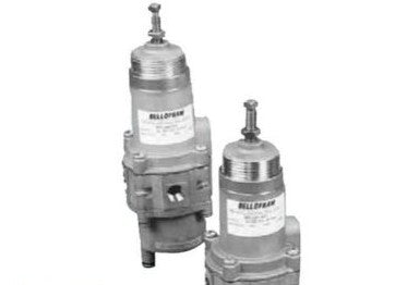 Bellofram Regulators 960-254-000 - Stainless Steel Auto Filter, 1/4in. Port (960-254-000)