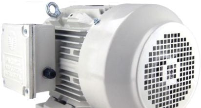 TECHTOP INDUSTRIES Motors BK3-CI-TF-444T-6-RR-G-100 - Black Line, 3 Phase, Cast (BK3-CI-TF-444T-6-RR-G-100)
