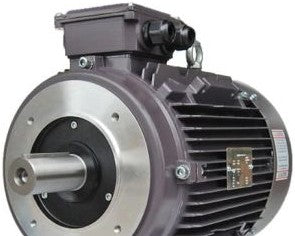 TECHTOP INDUSTRIES Motors BL3-AL-TF-56B34-4-B-D-.12 - IE1 Efficiency,3 PHASE (BL3-AL-TF-56B34-4-B-D-.12)