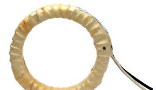 Littelfuse Current Transformers CT200L - Detects phase current or ground-fault current (CT200L)