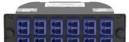 Panduit Fiber Optic FC29N-24-10AS - The OptiCom Fiber Cassette is OS2, and (FC29N-24-10AS)