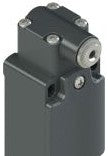 Pizzato Limit Switches FD2038-K40 - Limit switch for rotating levers (FD 2038-K40)