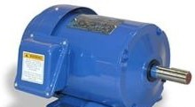 TECO Westinghouse Motors GP0016 - Motor, AC, 1HP, 1200RPM, 145T, TEFC 230/460V, 3Ph (GP0016)