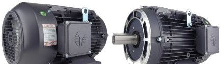 TECHTOP INDUSTRIES Motors GX3-CI-TF-449TS-2-BR-E-350 - PREMIUM EFFICIENCY,3 PHASE (GX3-CI-TF-449TS-2-BR-E-350)