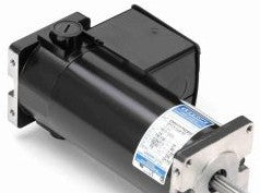 Leeson Motors M1120046.00 -..1/6HP-1/3HP..1800RPM - 3900RPM.31.TENV.12V (M1120046.00)