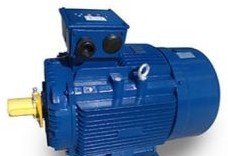 TECO Westinghouse Motors MP0206 - Motor, AC, 20 HP, 1200 RPM, 180L TEFC, 230/460V (MP0206)