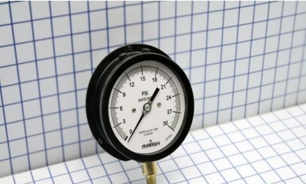 Marsh Panel Meters & Gauges P10042 - Process Gauge (P10042)