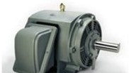 TECO Westinghouse Motors QT1006 - Motor, AC, 100HP, 1200RPM, 445T TEFC (QT1006)
